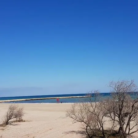 Апартаменты Plaja Modern Black Sea Констанца