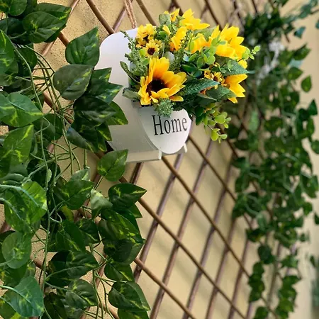 Plaja Modern Black Sea * Констанца